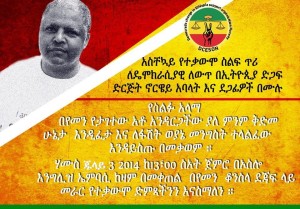 andargachew poster