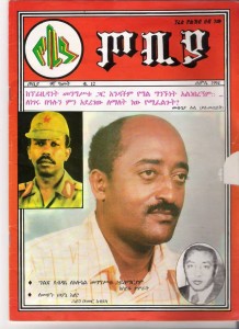 Journalist Mulugeta Lule