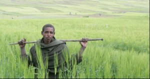 Ethiopian farmer