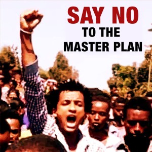 NO MASTER PLAN!