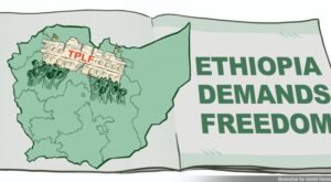 The Untold Plight of the Amhara People- by wondmagegj ejigu